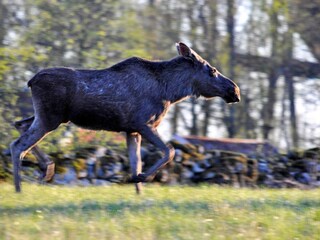 Maison de vacances Odensbacken Enregistrement extérieur 3