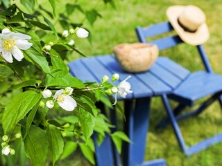 Casa per le vacanze Odensbacken  12