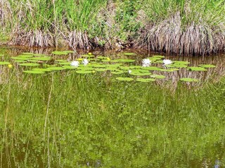 Casa per le vacanze Odensbacken  29