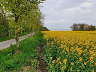 Casa de vacaciones Glyngøre  20