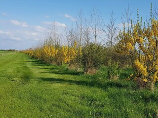 Vakantiehuis Glyngøre  33