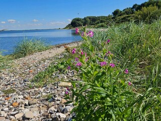 Casa de vacaciones Glyngøre  22