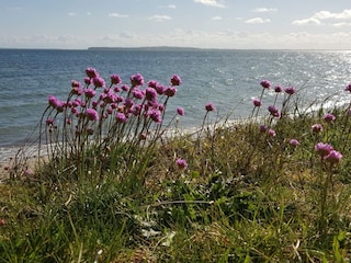Ferienhaus Glyngøre  34