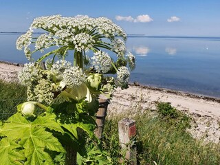 Casa de vacaciones Glyngøre  27