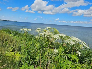 Ferienhaus Glyngøre  44