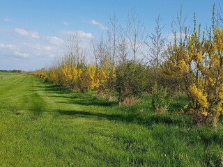 Casa per le vacanze Glyngøre  35