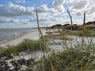 Vakantiehuis Als  29