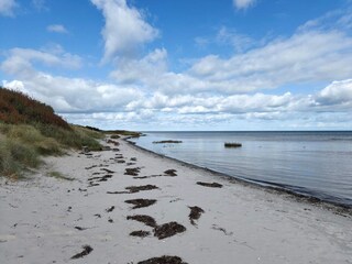 Vakantiehuis Als  40