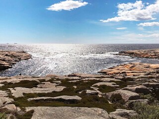 Maison de vacances Süd-Norwegen  41