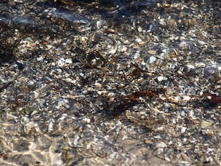 Ferienhaus Binderup Strand  13