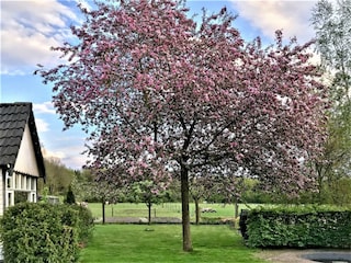 Apartment Noordwolde Außenaufnahme 9