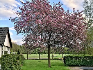 Appartement Noordwolde Enregistrement extérieur 2