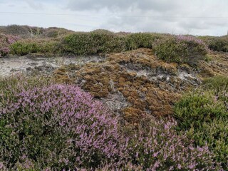 Vakantiehuis Houstrup  13