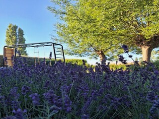 Casa de vacaciones Poperinge Grabación al aire libre 4
