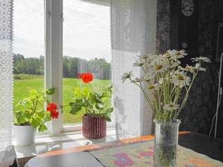 Casa per le vacanze Ellös  23