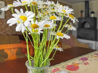 Maison de vacances Ellös  10