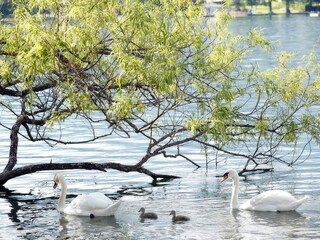 Casa per le vacanze Seeboden Ambiente 23