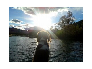 Casa per le vacanze Seeboden Ambiente 25