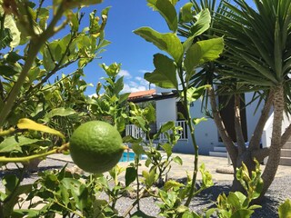 Villa Kirianna Grabación al aire libre 22