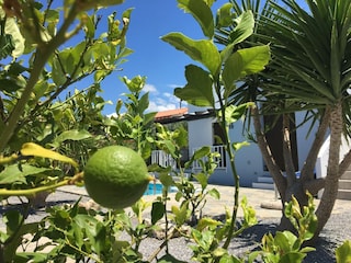 Villa Kirianna Außenaufnahme 12