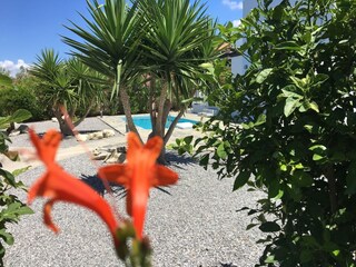 Villa Kirianna Grabación al aire libre 4