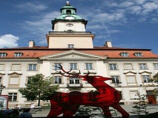 Landhaus Janowice Wielkie Umgebung 20
