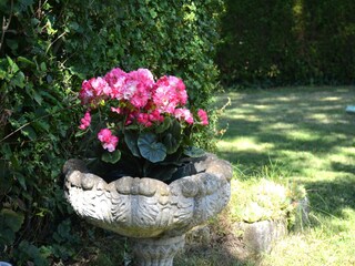 Cottage Rochefort  36