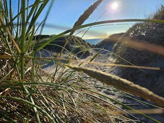 Casa de vacaciones Søndervig  37