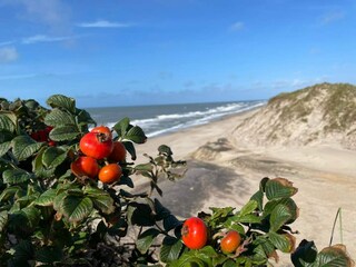 Casa de vacaciones Søndervig  30