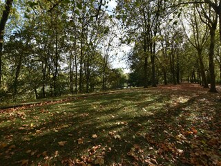 Appartamento Ieper Ambiente 25