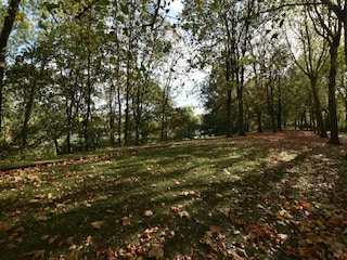 Appartement Ieper Environnement 18