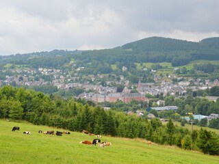 Maison de vacances Malmedy Environnement 31