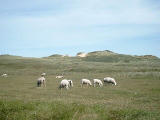 Vakantiehuis Lønstrup  18