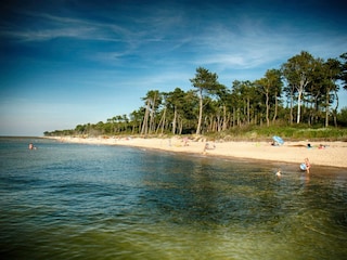 Cottage Darlowo Umgebung 30