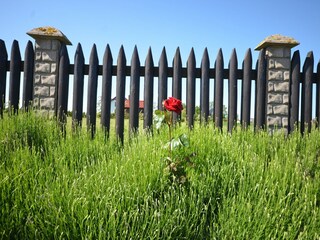 Holiday cottage Darlowo Outdoor Recording 13