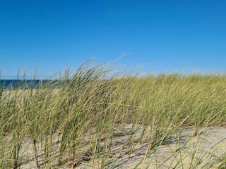 Holiday house Rødhus  13