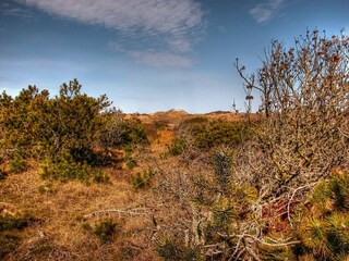 Casa per le vacanze Rødhus  29