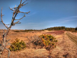 Holiday house Rødhus  20