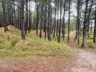 Casa de vacaciones Kongsmark  25