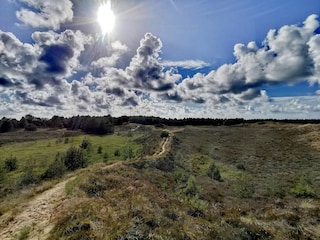 Holiday house Kongsmark  25