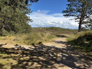 Vakantiehuis Kongsmark  48