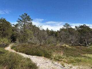 Vakantiehuis Kongsmark  24