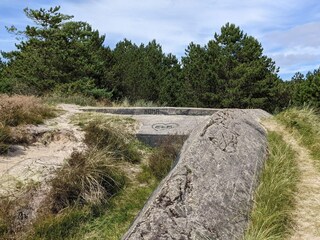 Vakantiehuis Kongsmark  53