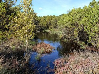 Casa de vacaciones Kongsmark  33