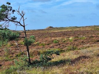 Holiday house Kongsmark  20