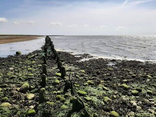 Maison de vacances Højer  27