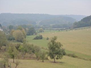 Ferienhaus Couvin Außenaufnahme 6
