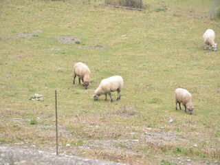 Casa per le vacanze Couvin Registrazione all'aperto 1