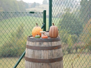 Ferienhaus Couvin  34