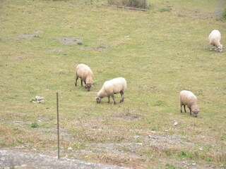 Holiday house Couvin Outdoor Recording 5